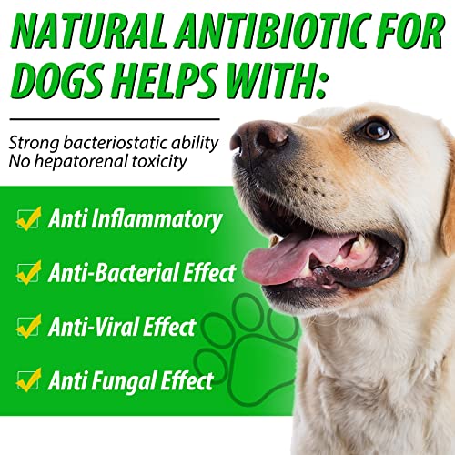 2 Pack Antibiotics for Dogs, Natural Antibiotics for Dogs, Dog Multivitamin for Pets, Dog Supplies Antibiotics, Do-g Allergy and Itch Relief 2.02 Fl Oz (Pack of 2)