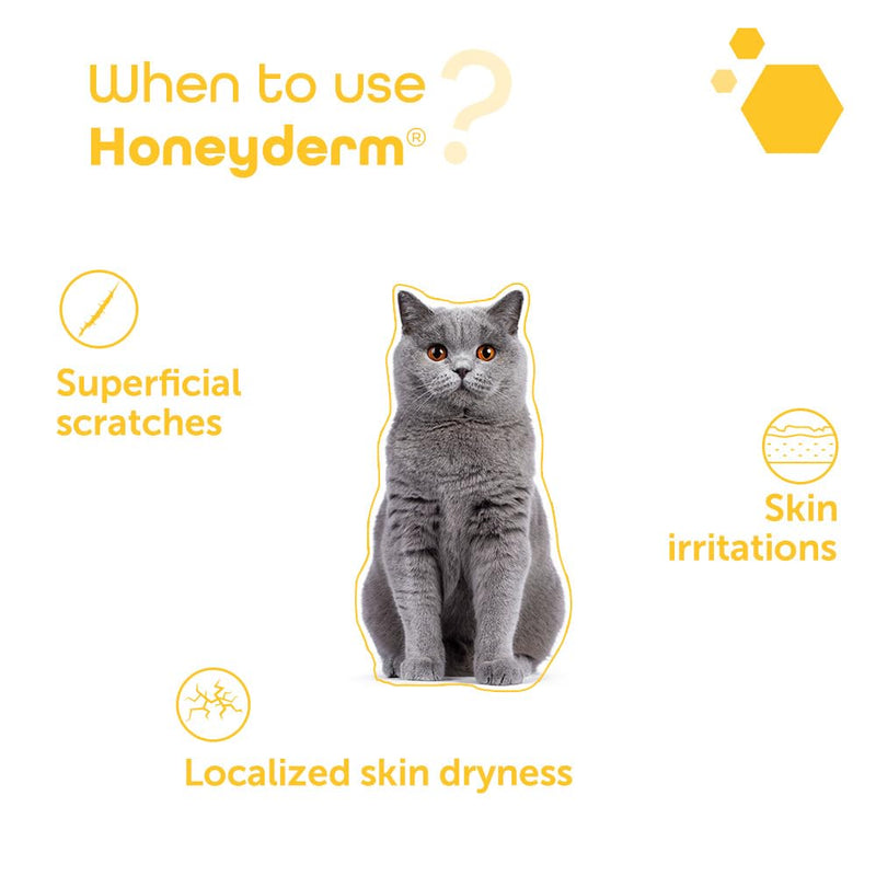 Honeyderm Balm for Cats & Dogs – Soothing Honey Balm for Dry or Irritated Skin, Minor Wounds & Cracks – Safe, Fragrance-Free, 62g Tube