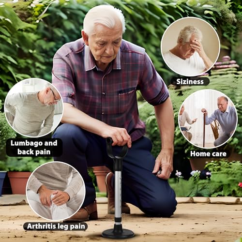 Standing Assist Device, Mobility Aid for Getting Up from Floor
