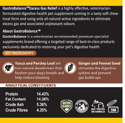 dog flatulence treatment - 60 natural dog flatulence chews recommended by vet (Bacon flavour) Bacon flavour
