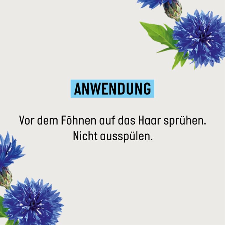 Guhl Föhn-Active Styling Spray - Contents: 150 ml - From the long-term volume series - Hair type: fine, weak or flat - Dermatologically confirmed (pack of 2) Jasmin 150 ml (pack of 2) - BeesActive Australia