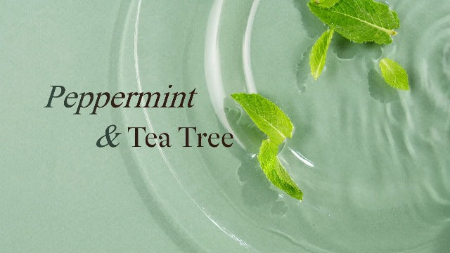 Foaming Face Wash Cleanser – USA Made with Natural & Organic Ingredients Peppermint Tea Tree 4.2 Fl Oz (Pack of 1)