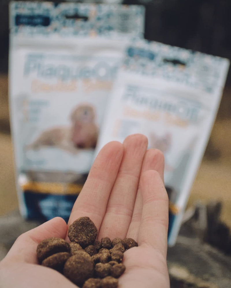 Proden Plaqueoff Dental Bites Dog, 150 G - PawsPlanet Australia
