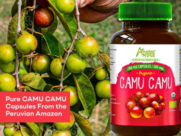 Amazon Andes Camu Camu Capsules 500mg - Pure Vitamin C Origin from Peru - Myrciaria Dubia Berry - 100 Vegetarian Caps - Wild Harvested Amazon Rainforest Superfruit Non-GMO Vegan