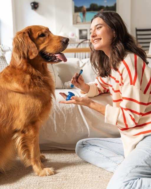 Doggy Breath to Doggy Fresh Dog Dental Care Kit Includes Enzymatic Toothpaste, Dual Brush Head Toothbrush with Angled Bristles and Blue Bite Block to Gently Keep Pets Jaw Open (Blue, Medium) - PawsPlanet Australia