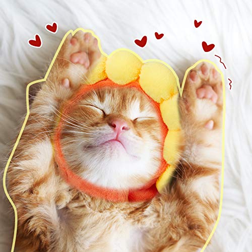 Weewooday 5 Pieces Cat Hat Cat Costume Outfit Bunny Hat with Ears Funny Cat Hat for Cats and Small Dogs Kitten Puppy Party Christmas Costume Accessory Headwear(Cute Style) Cute Style - BeesActive Australia