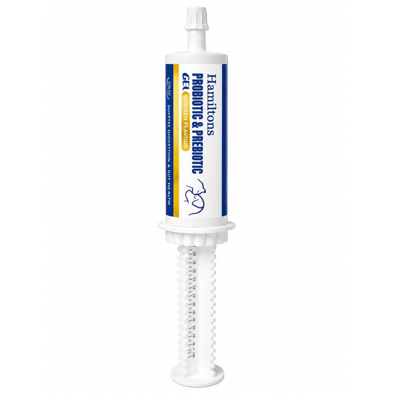 Hamiltons XL 60ml Probiotic & Prebiotic Paste for Dogs & Cats – Chicken Flavour Digestive Supplement – Supports Firm Stools, Digestive Upset & Gut Balance – Immune Support – Large Tube for All Breeds
