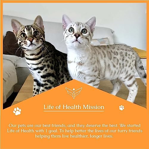 Natural Antibiotics for Cats - Cat Antibiotics - Cat Antibiotic - Pet Antibiotics - Cat Immune Support - Antibiotic for Cats - Cat Multivitamin - Cat UTI Antibiotics - - BeesActive Australia