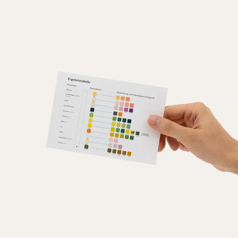 vetevo urine test (dog) dog - BeesActive Australia