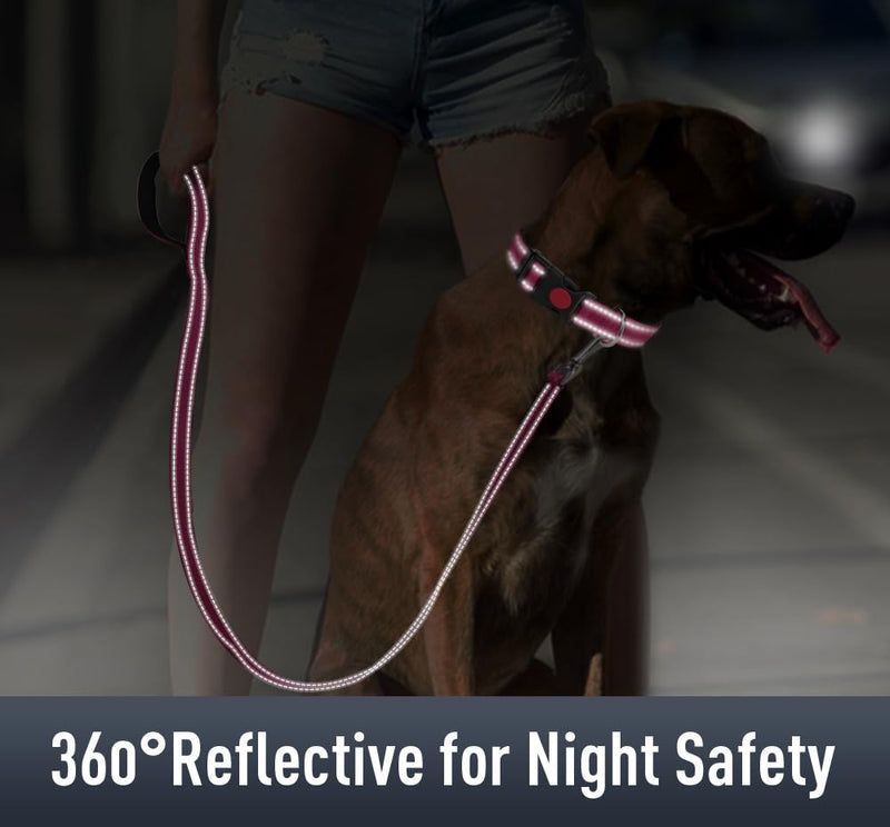 Airtag Dog Collar for Small Dogs, Reflective Dog Collars with AirTag Holder, Soft Padded & Safety Locking Buckle, Nylon Pet Collar Adjustable for All Breeds, HotPink Small (Pack of 1) - BeesActive Australia