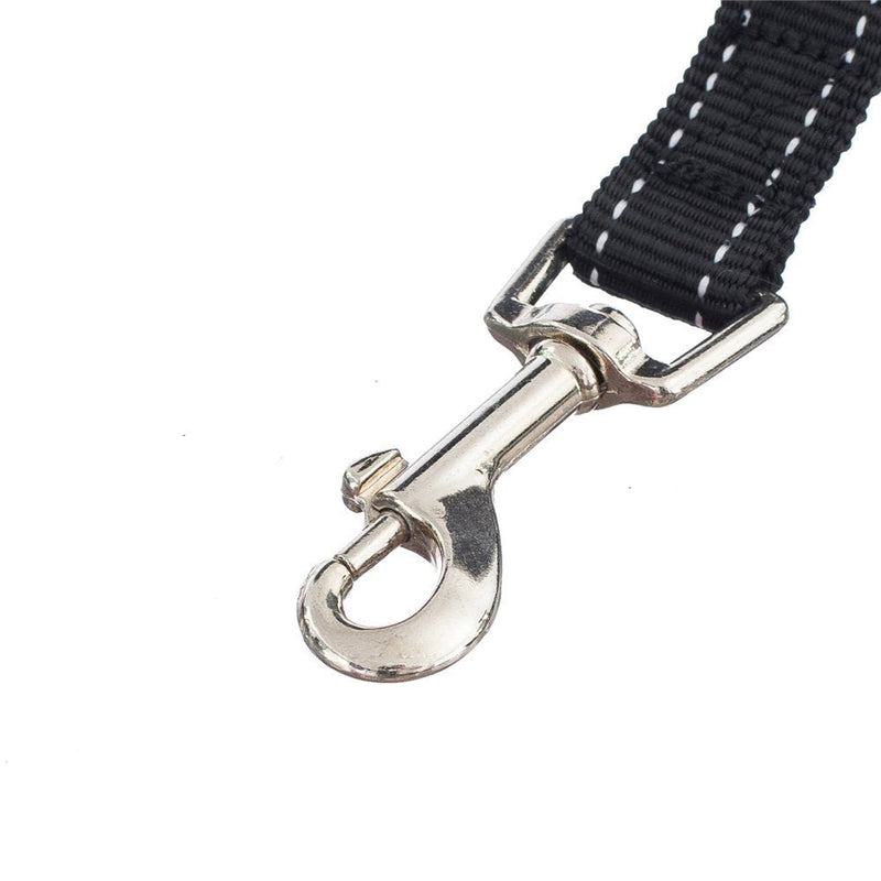 No Tangle Pet Leash Double Dog Leash Coupler Walker Training Leash for Small Medium Dog - Three Dogs Leash Splitter Dog Trainer Leash… - BeesActive Australia