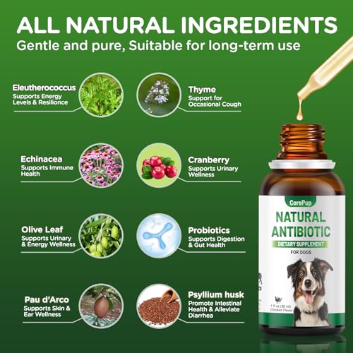 Antibiotics for Dogs,Natural Antibiotics for Dogs,Pet Antibiotic,Supplement for Urinary Tract Support, Digestion & Skin Health,Dog Allergy and Itch,Natural Herbal Supplement