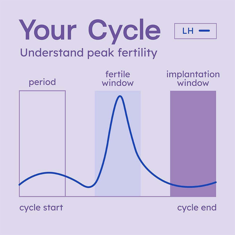 Proov Predict l Ovulation Test Strips to Predict Peak Fertility l 30 LH Tests | OPK Test Strips for Women | At Home Hormone Testing - BeesActive Australia