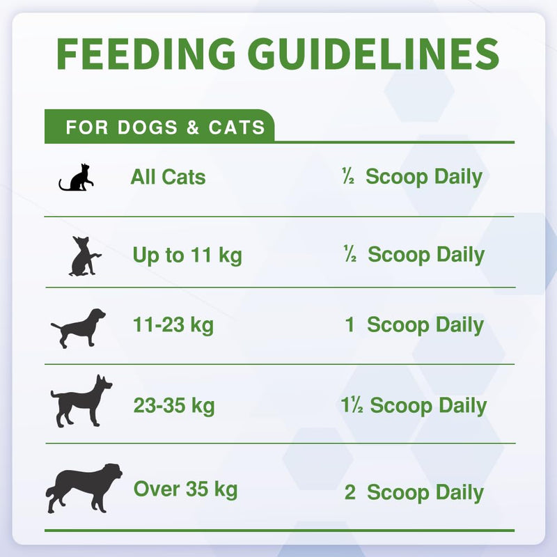 Probiotics For Dogs and Cats Powder - Natural Dog Treats For Gut Health, Itchy Skin Relief, Scooter Gland Treatment For dogs cats With Green Lipped Mussels, Psyllium Husk, Pumpkin, Probiotics Dog