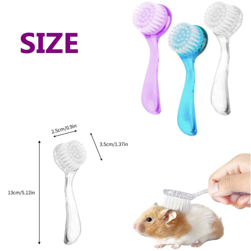3PC Small Animal Bath Brush with Lid Soft Cleansing Brush Massage Combs for Hedgehog Guinea Pig Rabbit Chinchilla Ferret Small Animal Grooming Tool Cleaning Supplies - BeesActive Australia