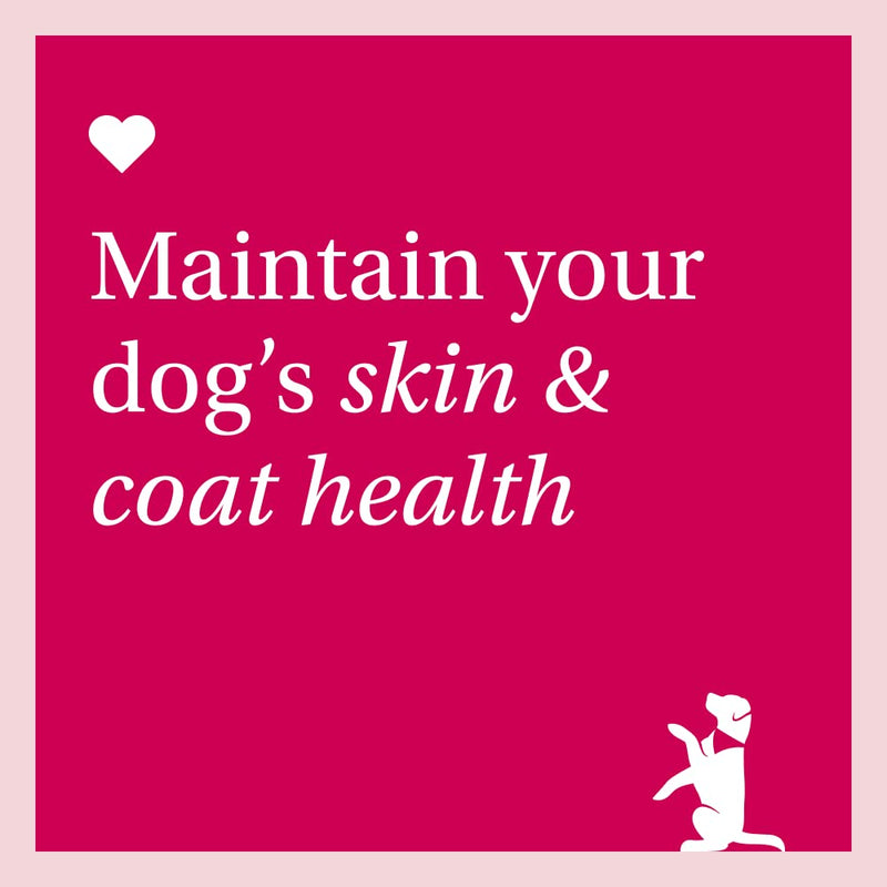 PetLab Co. Skin & Coat Chews - Support a Healthy, Comfortable Coat in Seconds a Day. Formulated with Beneficial Fatty Acids, Vitamins, Honey, & Turmeric to Optimize Skin and Coat Condition