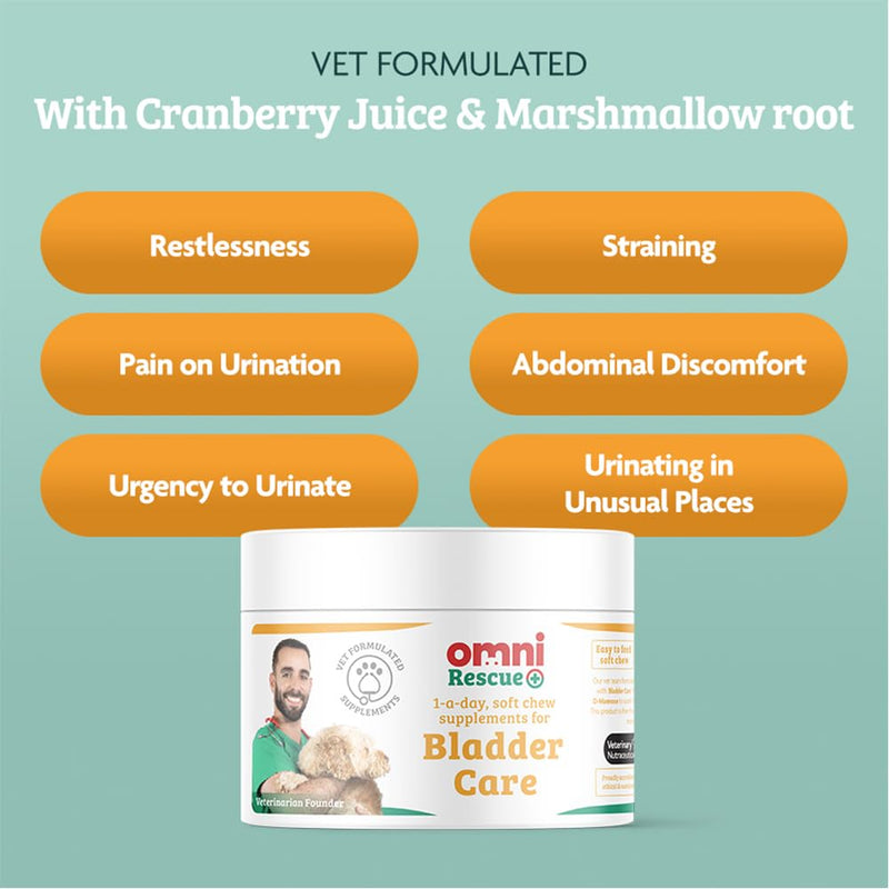 Omni Bladder Care Supplement - Dragons’ Den Winners, One-a-Day Dog Chew Supplements for Dogs, Marshmallow Root, Cranberry and D-Mannose For Bladder Urinary Support, 30 Servings, Small 0-15 Kg Small Dog (0-15kg)