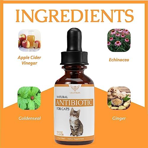 Natural Antibiotics for Cats - Cat Antibiotics - Cat Antibiotic - Pet Antibiotics - Cat Immune Support - Antibiotic for Cats - Cat Multivitamin - Cat UTI Antibiotics - - BeesActive Australia