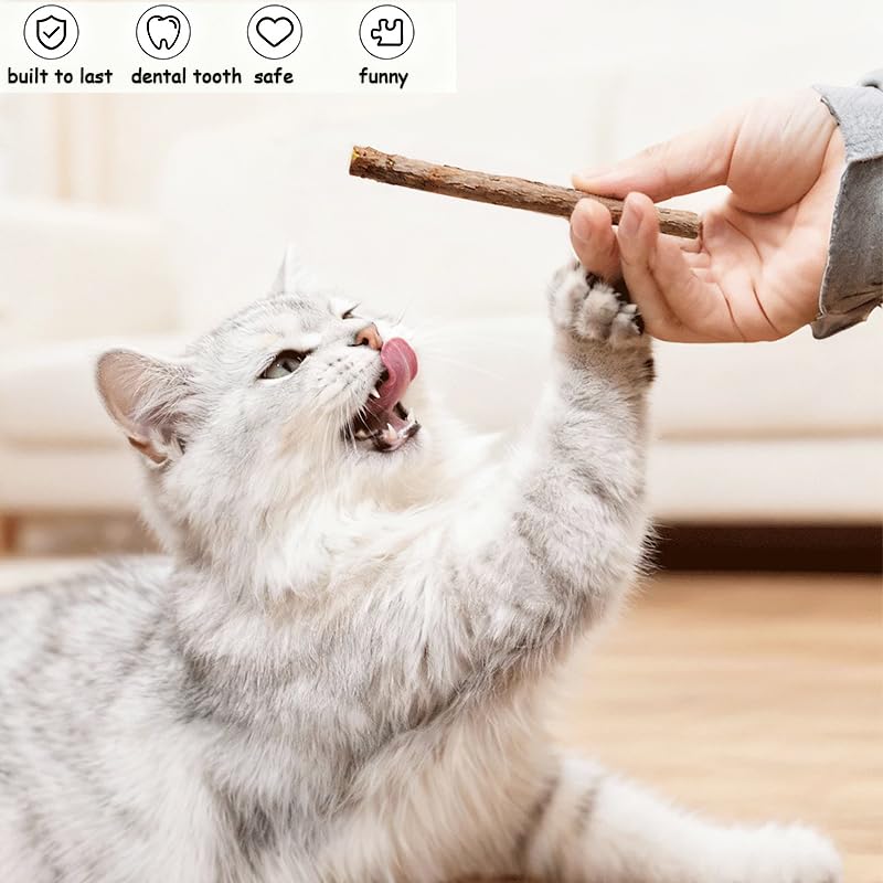 Natural Silvervine Sticks for Cats - 100% Wild Catnip Chew Sticks, Dental Care & Tartar Removal, Digestive Health, Kitten & Adult Cat Enrichment, 15pcs, High Potency Cat Attractant