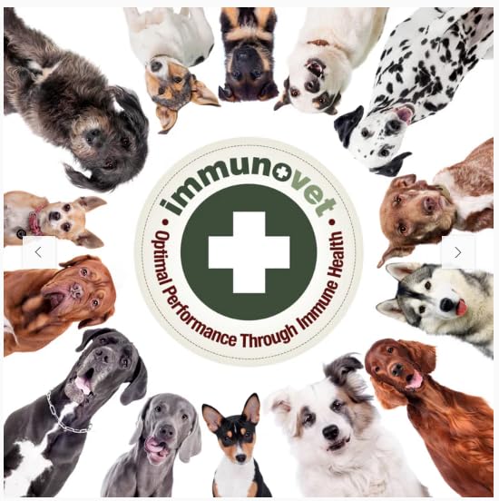 Plant-Based Dog Supplement Powder | Fermented Wheat Germ Extract | Boosts Immunity, Gut Health & Energy | Natural Pet Supplement for All Dog Ages | Non-GMO, Vet Trusted, Safe Formula- 90g Powder 90G