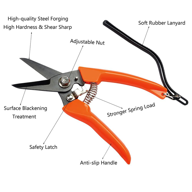 8 inch Horse Farrier Hoof Tool Kits, 5 Piece Professional Farrier Trimming Tools, Mini Hoof Rasp File Hoof Nipper Cutter Metal Hoof Shears and Horse Hoof Pick Brush - BeesActive Australia