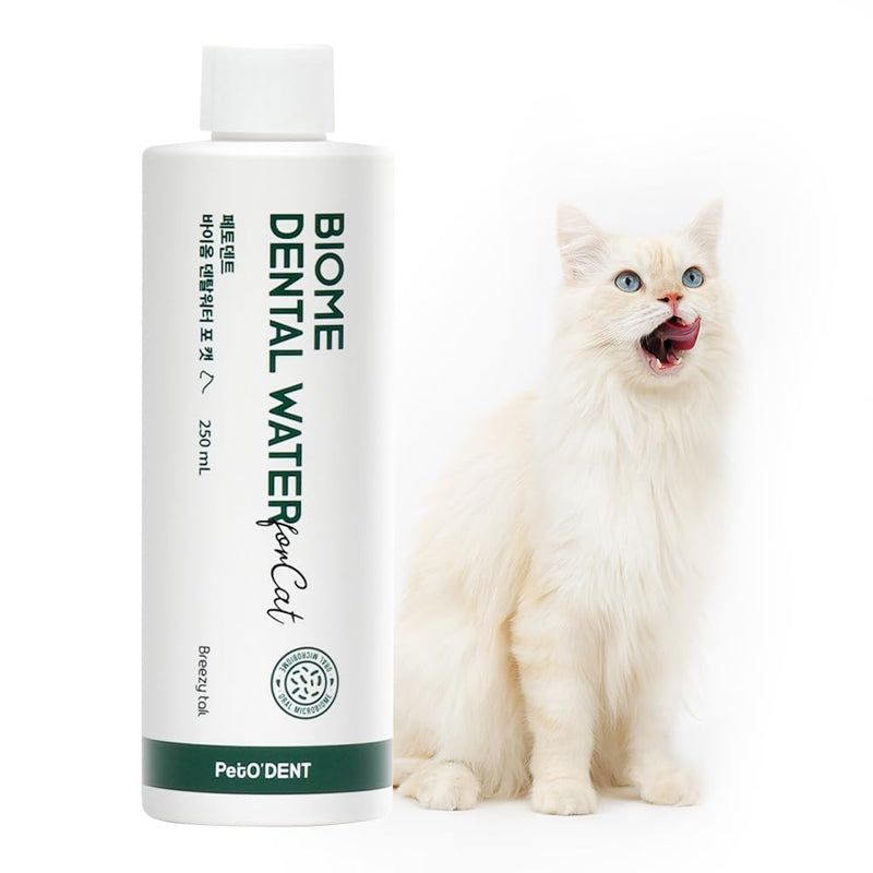 PetO’Dent Dental Water Additive for Cats–No Brushing Needed, Fresh Breath, Tartar Control & Gum Care with Catnip & Silvervine Extracts, 8.45 fl oz / 250ml