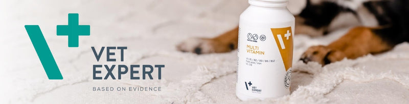 Vet Expert GeriatiVet Senior Cat Supplement | 60 | Supports Metabolism, Vitality, and Urinary Health with Blackcurrant Seed Oil, Glucosamine, Taurine, DL-Methionine, Nettle Leaf Extract, and Vitamins