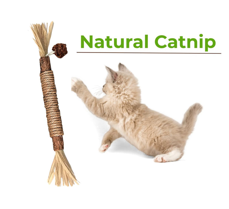 TheGuard 4 Natural Catnip Toys Set; 3 Matatabi Silvervine Chew Sticks & Cute Scented Mint Fish Cat Chew Toy with Catnip & Sound for Cuddle (Natural Teethers) Natural Teethers