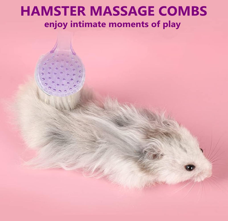 3PC Small Animal Bath Brush with Lid Soft Cleansing Brush Massage Combs for Hedgehog Guinea Pig Rabbit Chinchilla Ferret Small Animal Grooming Tool Cleaning Supplies - BeesActive Australia