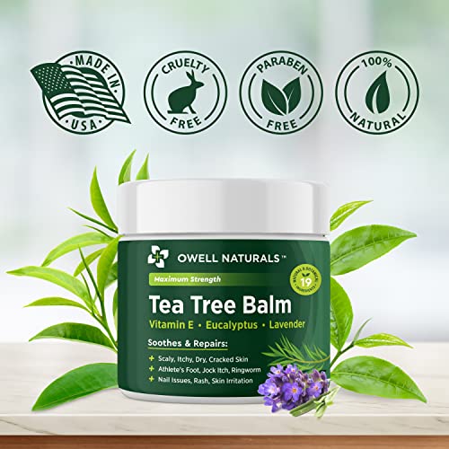 Owell Naturals Tea Tree Antifungal Balm – Extra Strength for Athlete’s Foot, Jock Itch, Ringworm & Skin Fungus – Soothing for Itchy, Dry, Cracked Skin, Feet & Body, 2 oz 2 Fl Oz (Pack of 1)