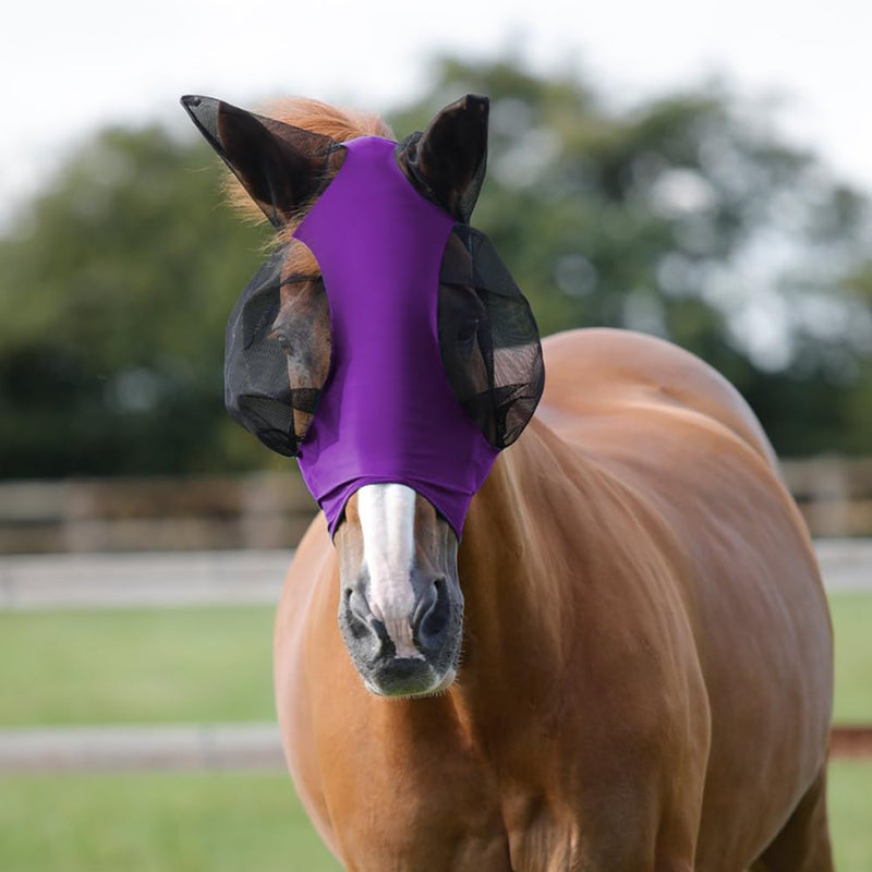 Adiwo Fly Mask Horse UV Protection, Super Comfort Stretchy Horse Fly Mask with Large Eye Space Elastic Horse Fly Mask with Ear Protection Fly Hood Horse Fly Mask Breathable Skin-Friendly Purple - BeesActive Australia