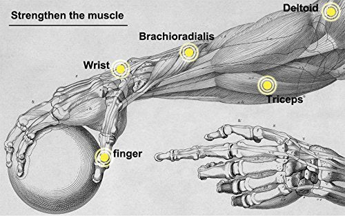 Power Wrist Ball AUTO Start Gyro Ball with LED Lights Forearm Exerciser Wrist Strengthener for Strengthening Muscle and Bones Silver - BeesActive Australia