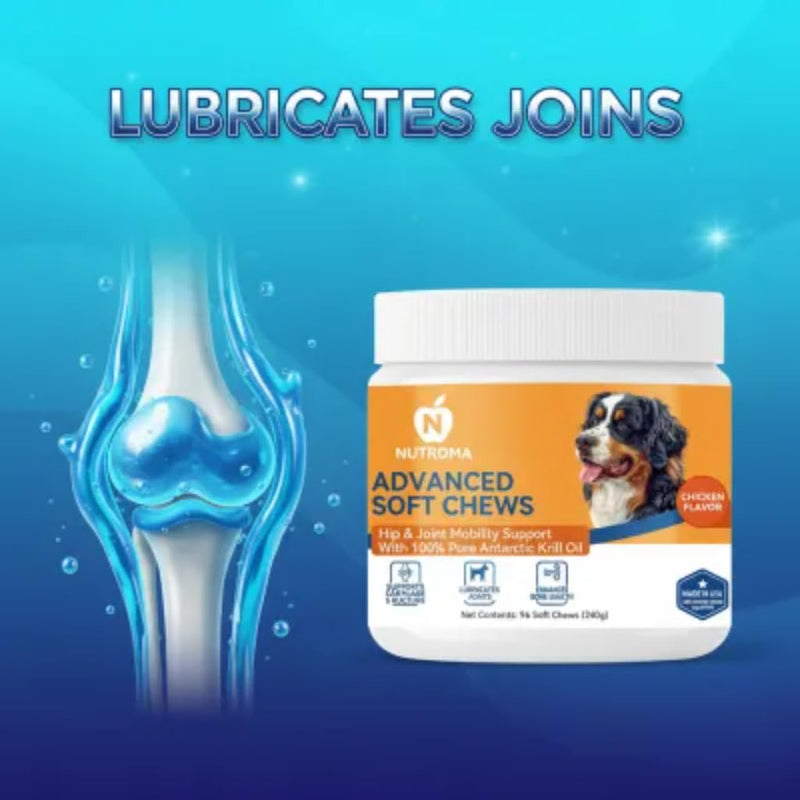 Advanced Soft Chews for Dogs – Hip & Joint Mobility Support with Antarctic Krill Oil, Eggshell Membrane & Hyaluronic Acid – 96 Chews (Chicken) Chicken