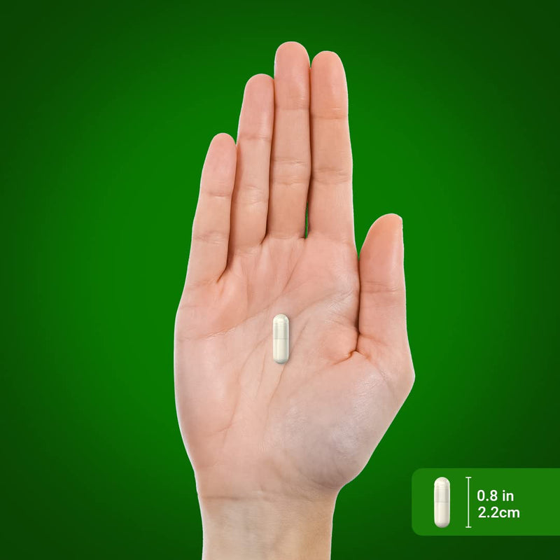 Piping Rock Green Lipped Mussel | 120 Capsules | Supplement for Humans | Freeze Dried from New Zealand | Non-GMO, Gluten Free 120 Count (Pack of 1)