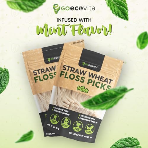 Dental Floss Picks - Straw Wheat Handle Flossers | Thin & Shred-Resistant Thread for Tight Gaps | Flossers for Adults | Gentle on Gums & Teeth | Gluten-Free & Vegan (400 Pack, Mint) 400 Count (Pack of 1)