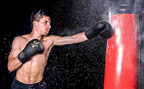 Boxing Gloves for Men & Women, Kickboxing Bagwork Training Gloves, Muay Thai Style Punching Bag Mitts, Fight Gloves(Black, 10 Oz.) black