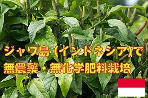 [Pesticide-free/Chemical Fertilizer] Additive-Free Hihatsu 100% Powder, 3.5 oz (100 g), Made in Indonesia (Java Island), Made in Japan GNP Factory, No Additives, Preservatives, Sterilized, Fine Powder - BeesActive Australia
