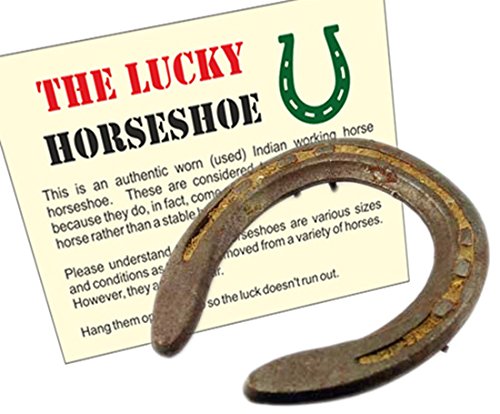Wonder Care Horseshoe Authentic Used Horseshoe Good Luck Charm Rustic Auspicious Lucky Gift Cast Iron Real Horseshoe for Wall Decorations Prosperity and Fortune Iron (Rustic) - BeesActive Australia