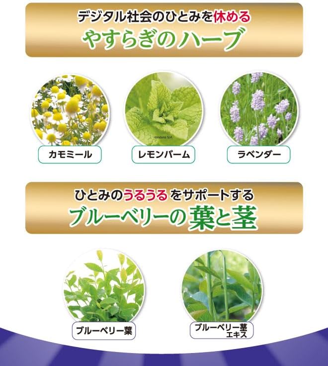 [Official] Wakasa Life Blueberry Eye 1 bag contains 31 tablets Approximately 1 month's supply Contains 28 types of ingredients such as nano bilberry extract lutein and hyaluronic acid - BeesActive Australia
