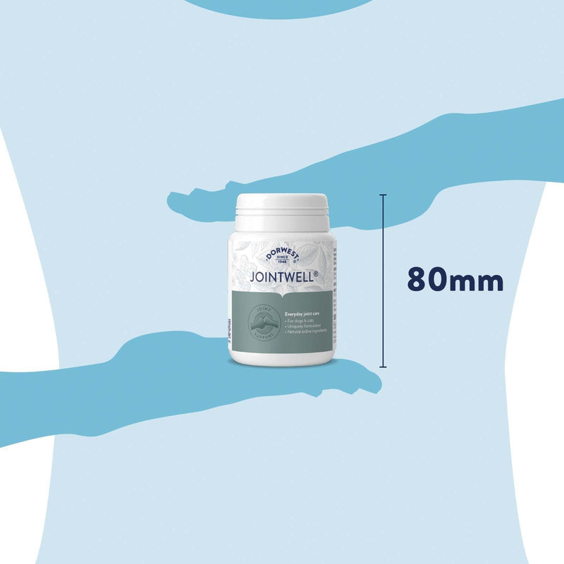 Dorwest JointWell 100 Tablets for Dogs & Cats – Natural Dog Supplements to Support Joint Mobility and Comfort, with Glucosamine, Chondroitin, Zinc, Vitamin C and Hyaluronic Acid