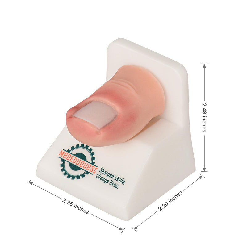 Ingrown Toenail Trainer Kit with Base,Ingrown Toenail Simulator for Medical Education, Wound Care Training Model