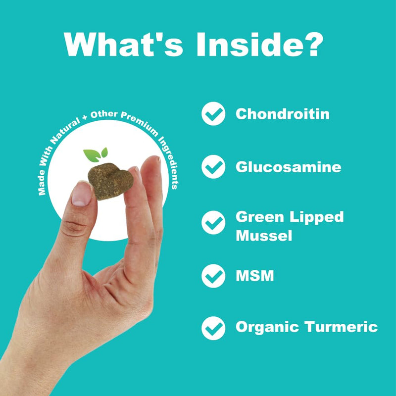 Hip and Joint Supplements For Dogs | Dog Joint Supplements to Reduce Stiffness and Improve Mobility with Organic Turmeric, Glucosamine, Chondroitin and Green Lipped Mussel For Dogs Beef