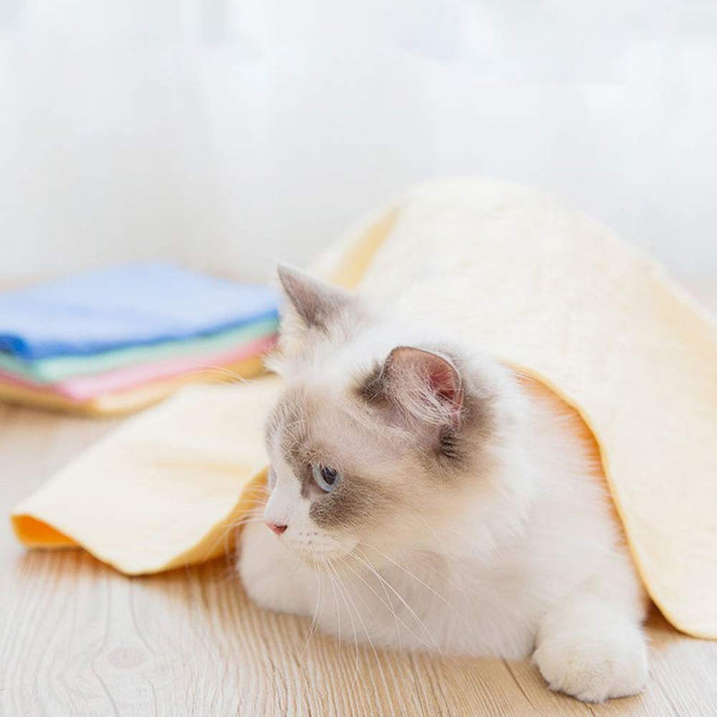 Pack of 5 Dog Bath Quick Drying Towel, Super Absorbent Towel, Multifunctional Pet Towel, Suitable for Small and Medium Dogs, 43 cm x 66 cm (5 Colors) - BeesActive Australia
