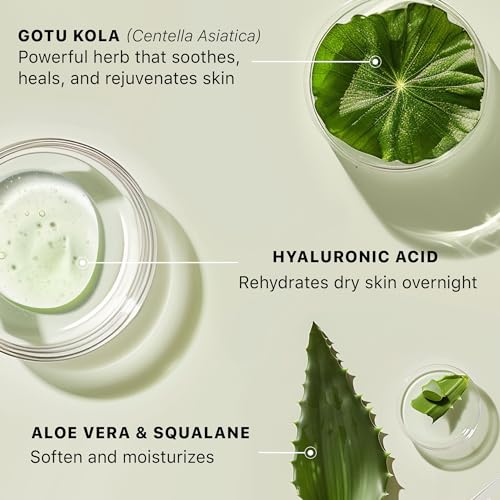 Hyaluronic Acid Moisturizer for Face - USA Made with Organic Ingredients Unscented 1.58 Ounce (Pack of 1)