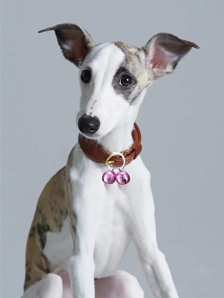 ROHOME Cat Dog Collar Bells Pet Tracker Handmade Pure Copper Pendant Bells Brass Bells for Collar Dog Loud Anti-Lost Training Bells Save Birds & Wildlife purple - BeesActive Australia