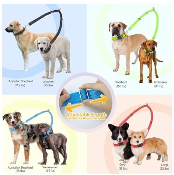 Double Dog Leash, Two Dog Leash Splitter, Adjustable Length and Tangle Free, Heavy Duty Walking Training Dual Dog Leash Extension for Medium and Large Dog, Black Medium+Large - BeesActive Australia
