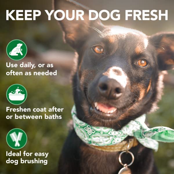 Vet's Best Moisture Mist Dog Dry Skin Conditioner| Dog Conditioner and Detangler Spray | Relieves Itchy Skin, Refreshes & Soothes | 16 oz - BeesActive Australia