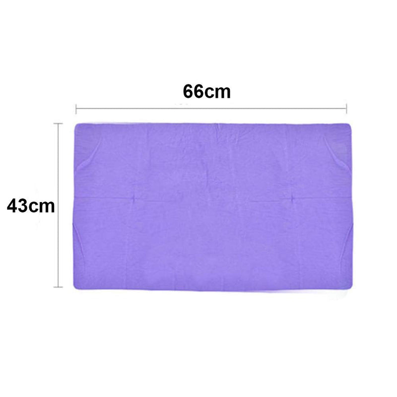 Pack of 5 Dog Bath Quick Drying Towel, Super Absorbent Towel, Multifunctional Pet Towel, Suitable for Small and Medium Dogs, 43 cm x 66 cm (5 Colors) - BeesActive Australia