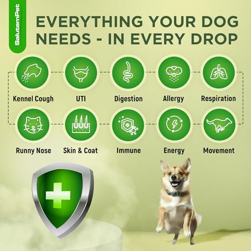Natural Antibiotics for Dogs and Puppies – Antibiotics for Dogs of All Ages – Herbal Ingredients – Helps with Allergies and UTIs – for Balanced Digestion – Joint Care – Bacon Taste – 2 Oz 2 Fl Oz