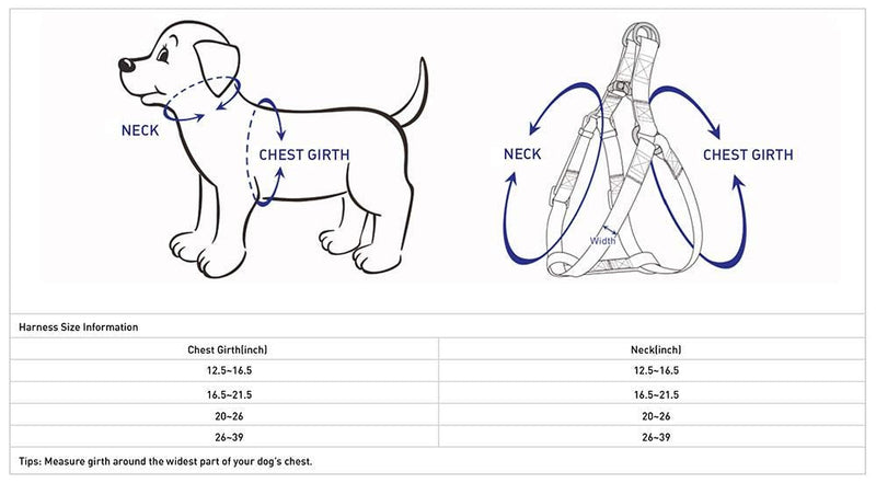 Blueberry Pet 9 Patterns Step-in Spring Scent Inspired Floral Rose Print Turquoise Dog Harness, Chest Girth 20" - 26", Medium, Adjustable Harnesses for Dogs (20" -26") Chest Girth (Pack of 1) - BeesActive Australia